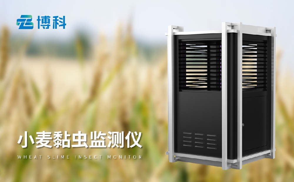 小麥黏蟲監(jiān)測儀